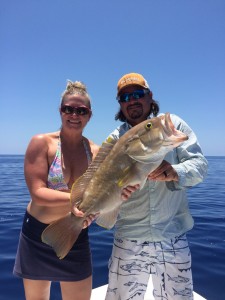 deep drop yellow edge grouper